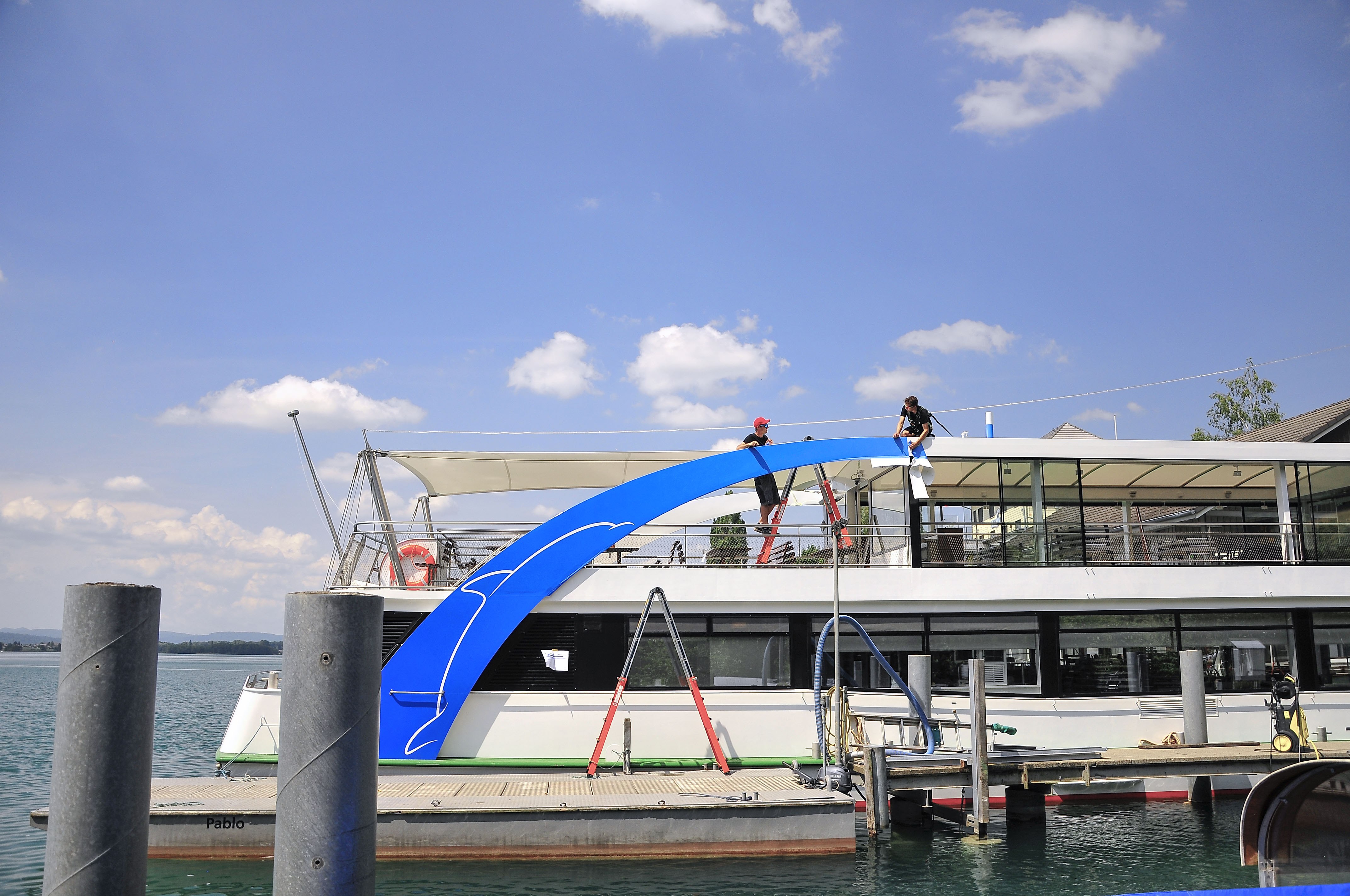 Delphin 1 Michael Amrein