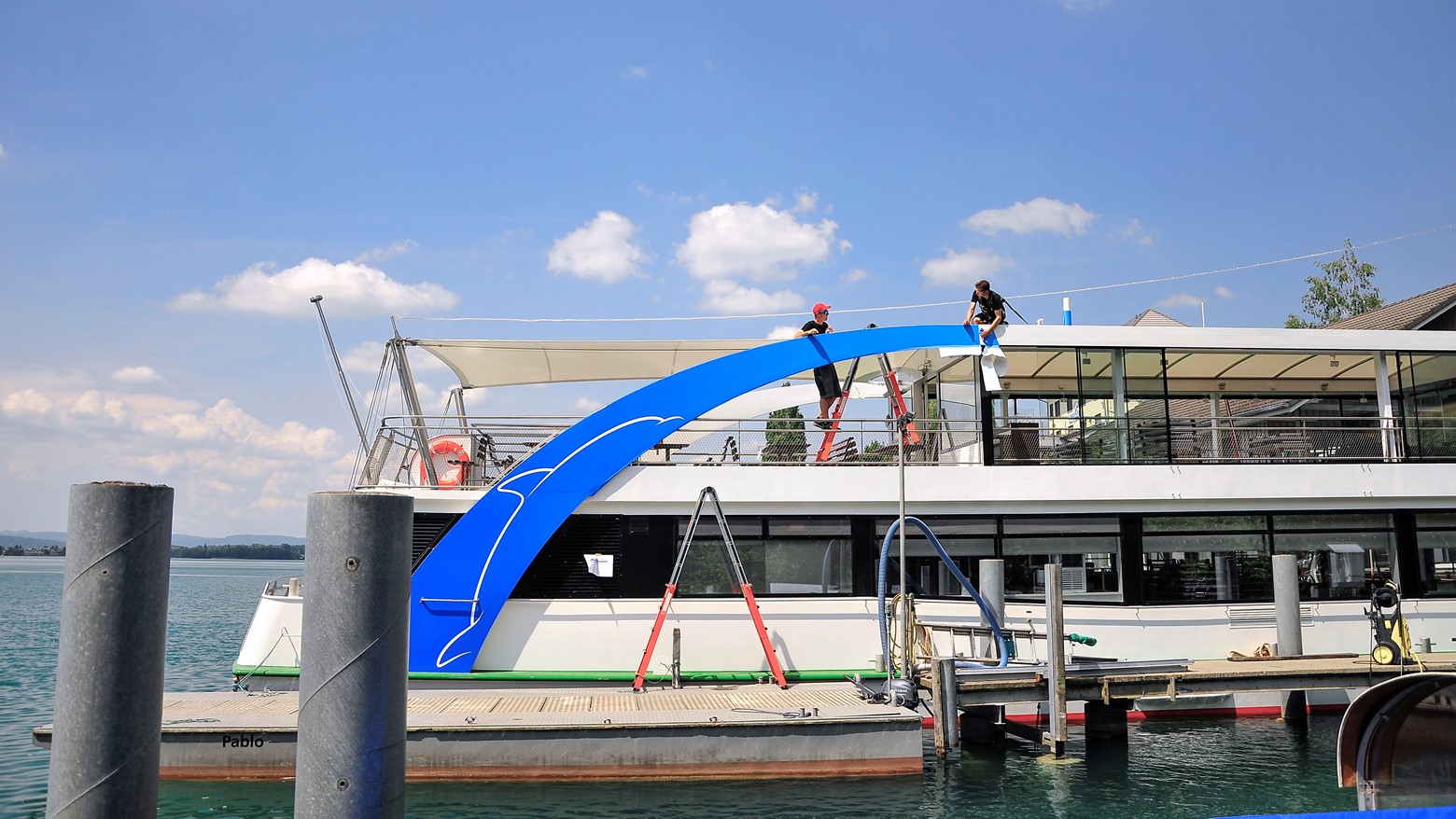 Delphin 1 Michael Amrein