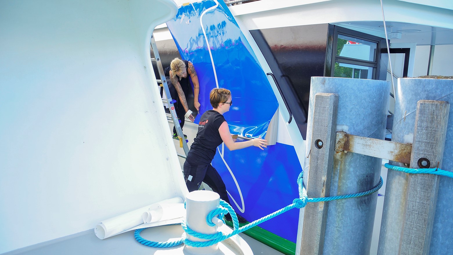 Delphin 4 Michael Amrein