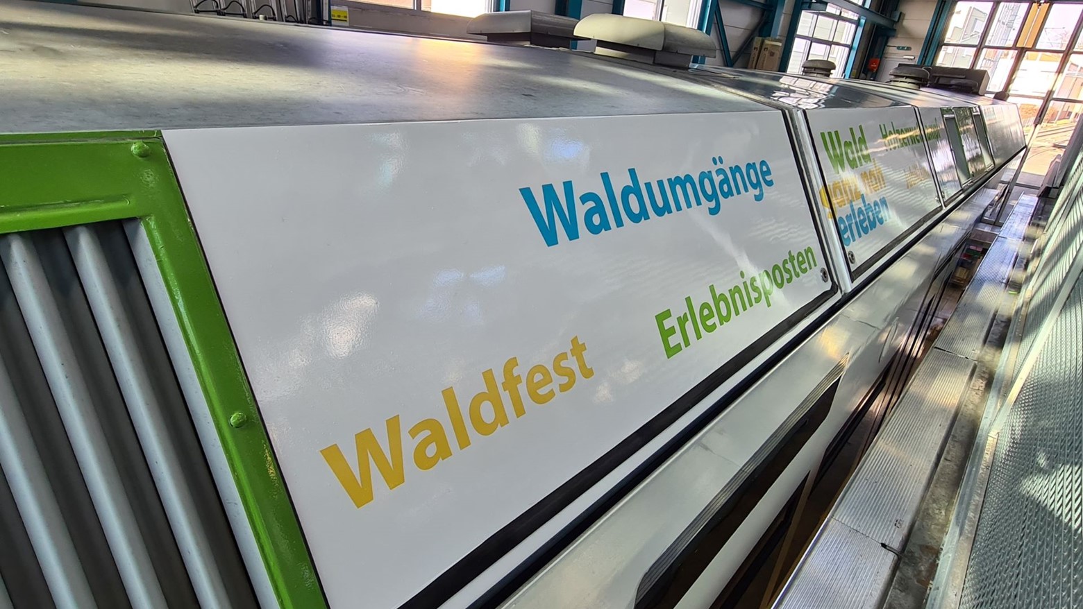Wald100 (5)
