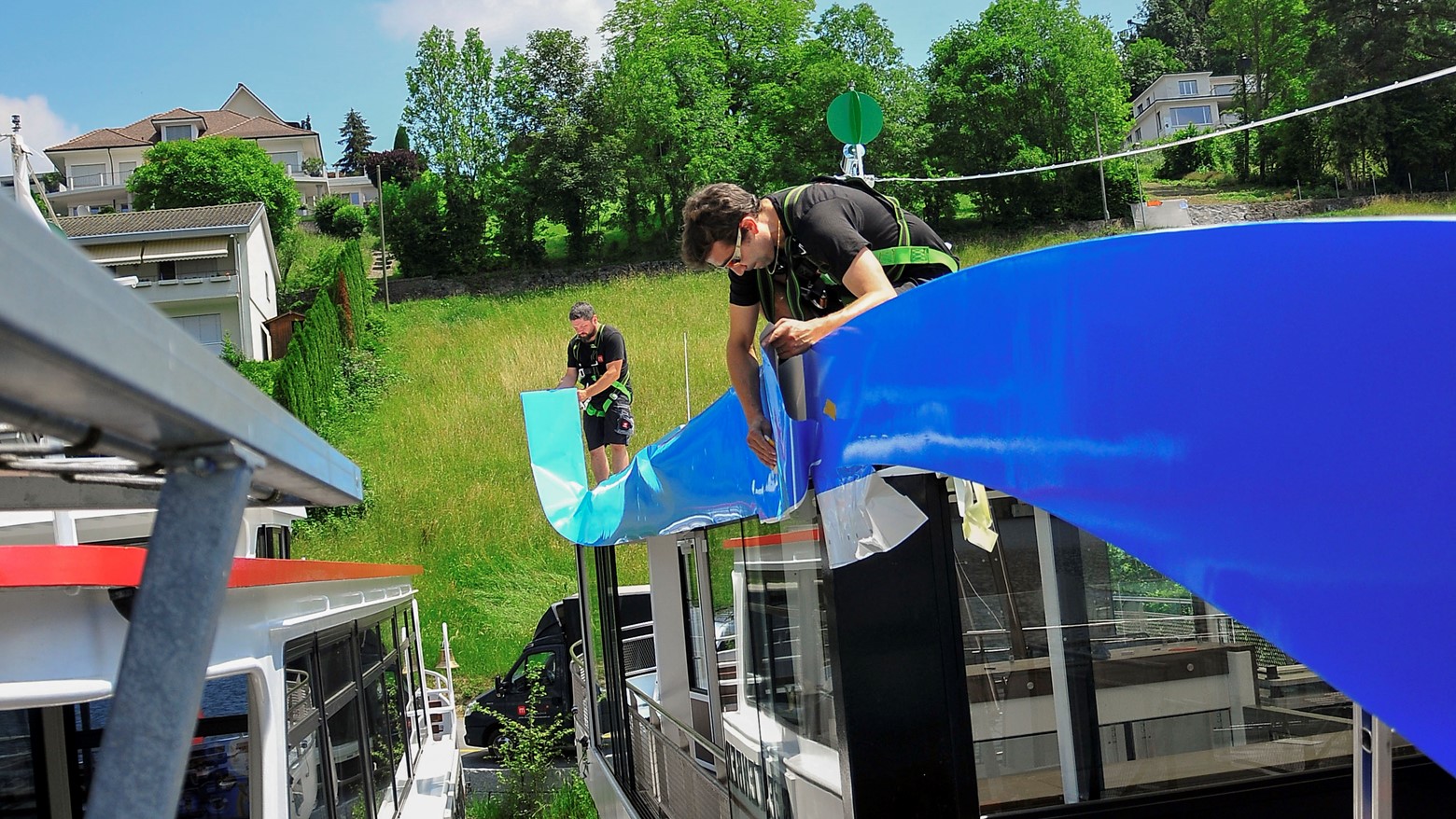 Delphin 3 Michael Amrein